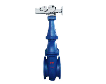 Z942W-1 Z542W-1 Cuniform double disc gate valve